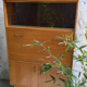 Secretary vintage 60