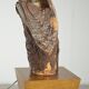 Organic wooden table lamp