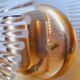 Pair of Leaf Wall Sconces in Murano Glass, Gaetano Sciolari for Venini