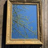 Beveled gold mirror