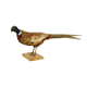 Mounted ringneck pheasant on wooden plank taxidermy