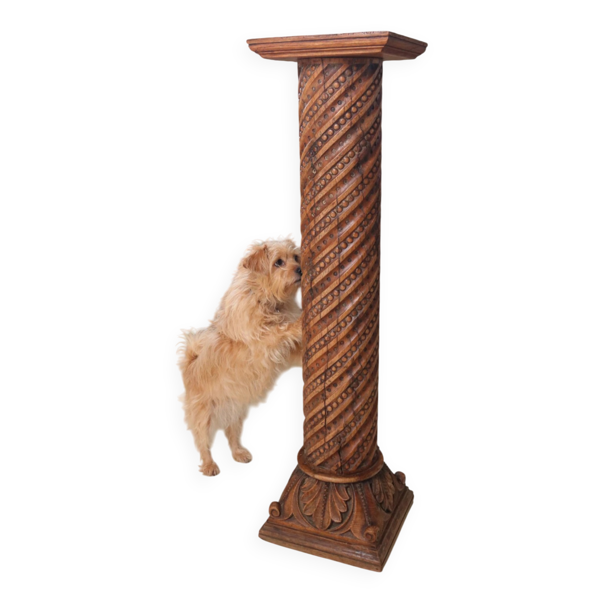 Carved oak column with twisted shaft, beads and acanthus – 19th c.