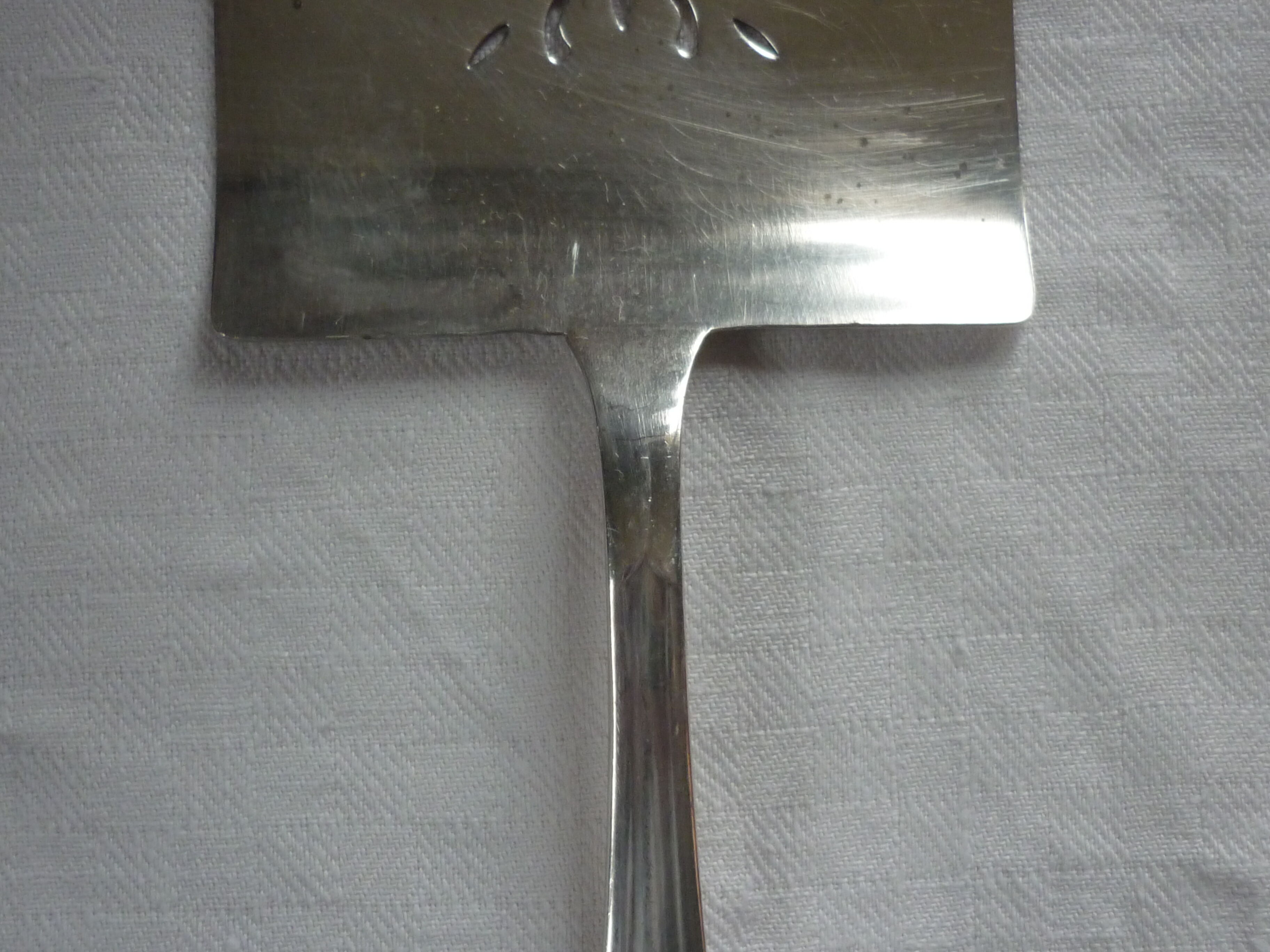 Asparagus pelle, silver metal gates