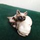 Pair of Siamese kittens in English porcelain from Beswick