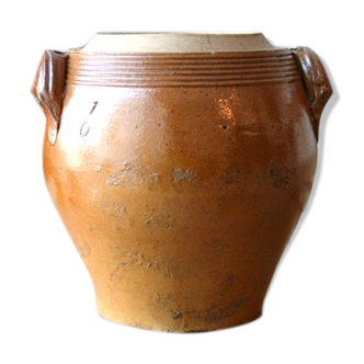 Double-eared sandstone pot