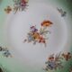 6 Limoges Elite dessert plates France