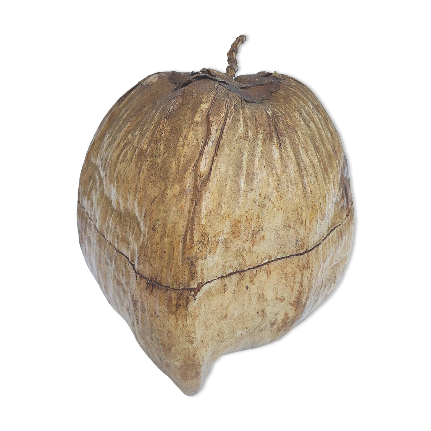 Vintage coconut ice bucket