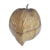 Vintage coconut ice bucket