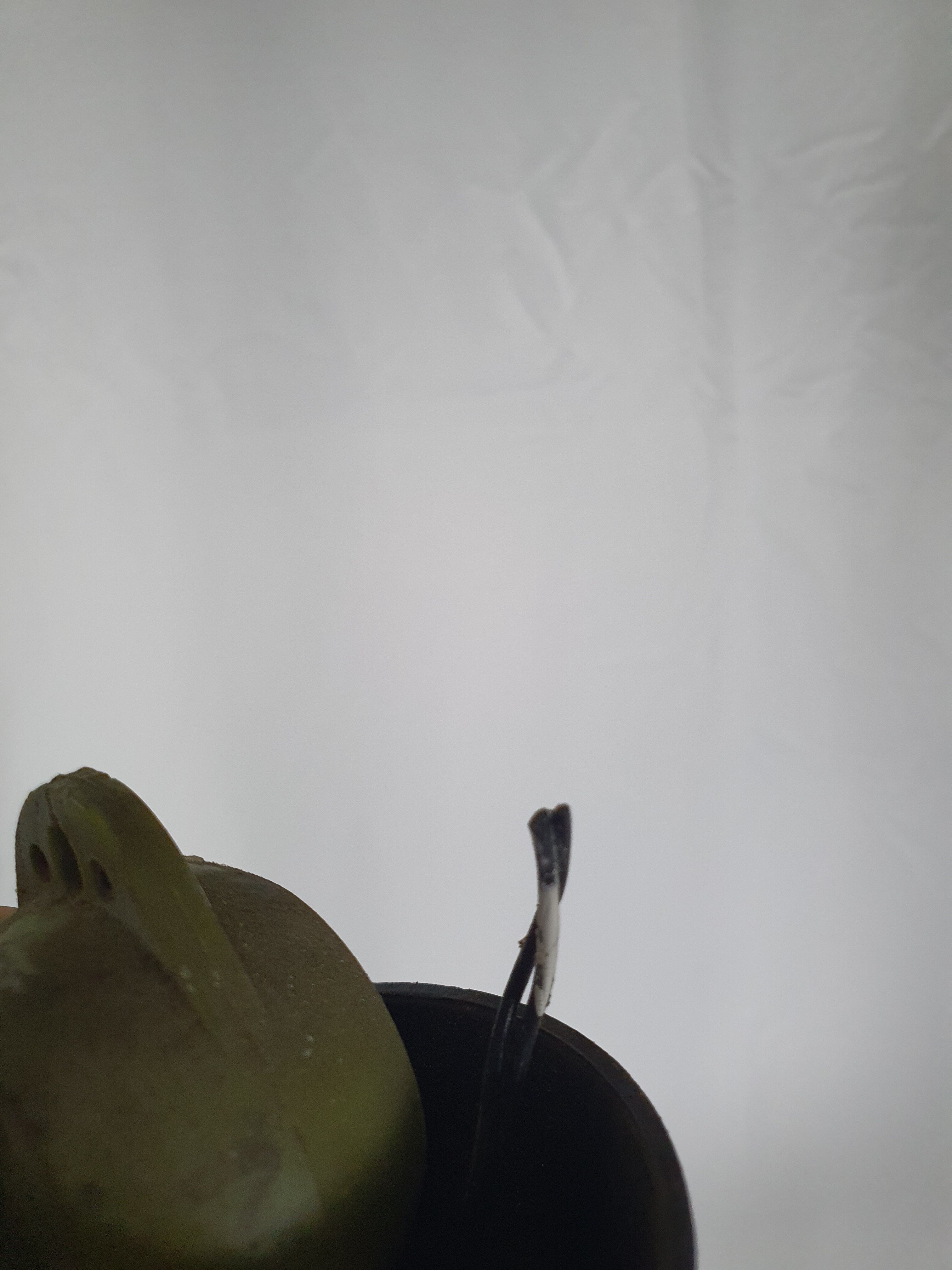 Chandelier in white and multicolored Murano glass