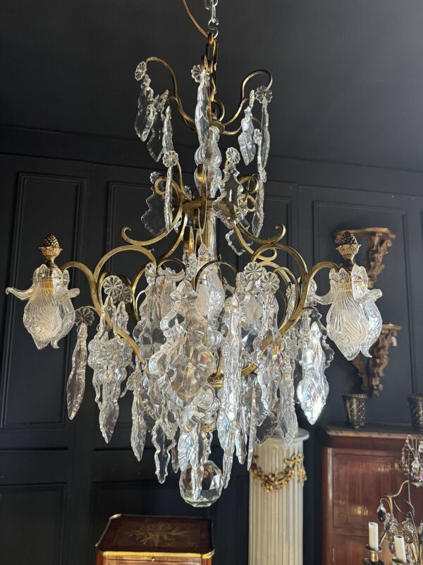 Lustre Cage Du XIXe En Cristal Et Bronze Doré (belle Qualité)
