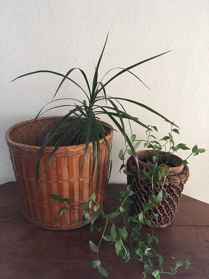 Two pot covers in Wicker, rope and wood.