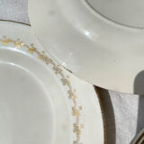 6 opaque porcelain dinner plates, Digoin model "Suzy"