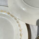 6 opaque porcelain dinner plates, Digoin model "Suzy"