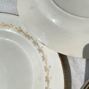 6 opaque porcelain dinner plates, Digoin model "Suzy"