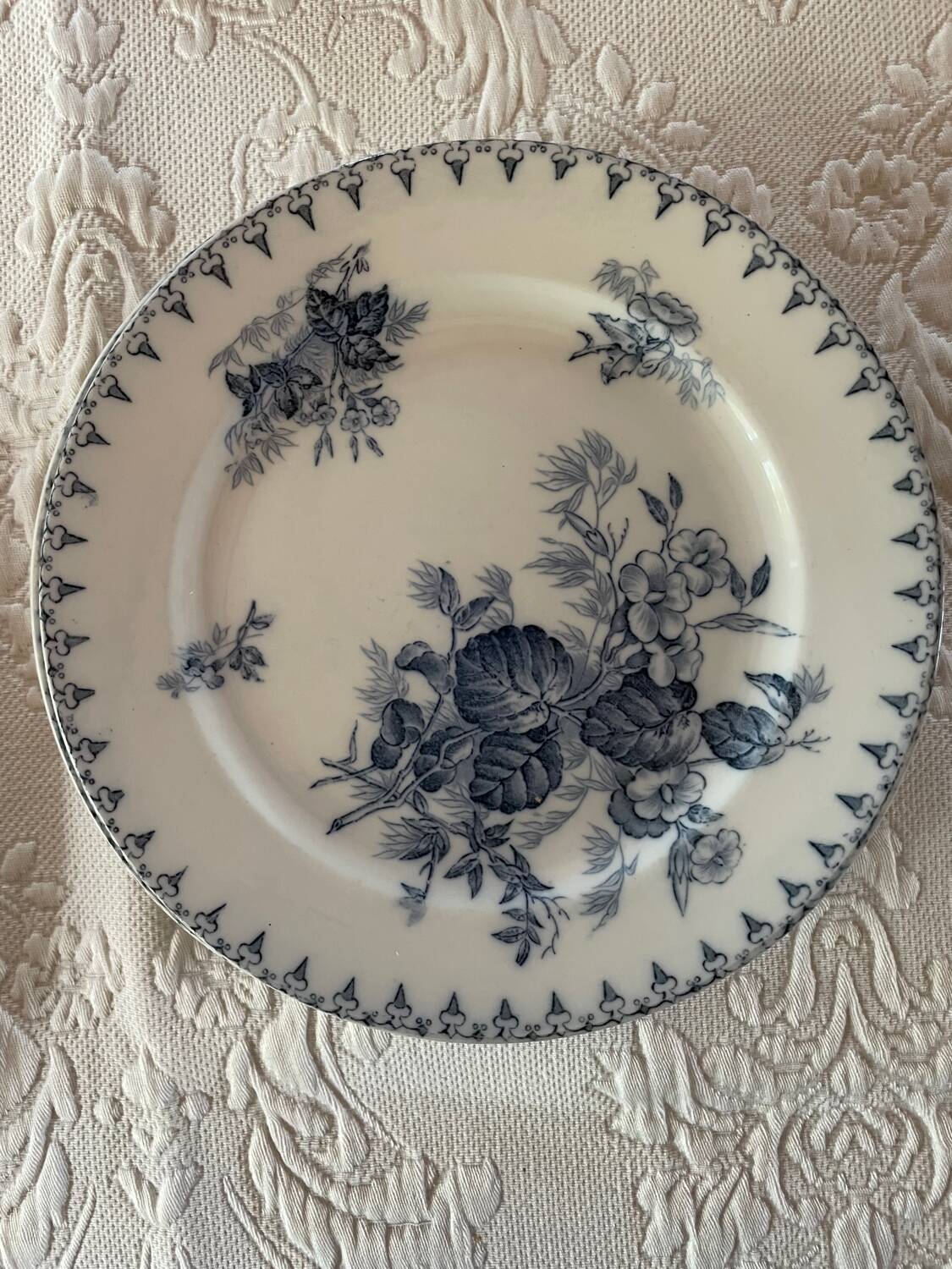 Flat plates and platter terre de fer sarreguemines uc flore model