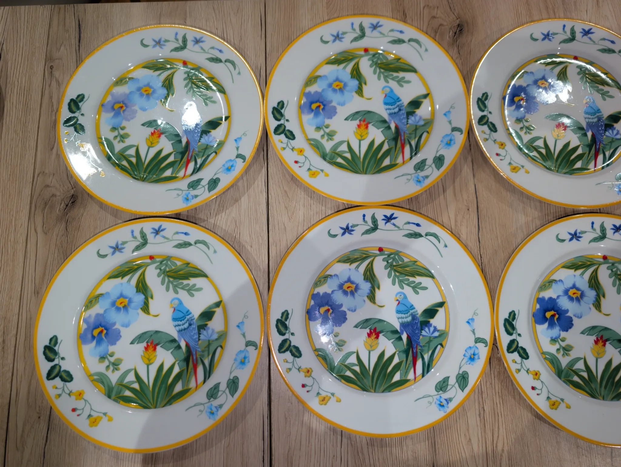 Lot 7 Large Flat Plates Porcelain ARA Pier Import