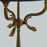 Dolphin hot water bottle lamp