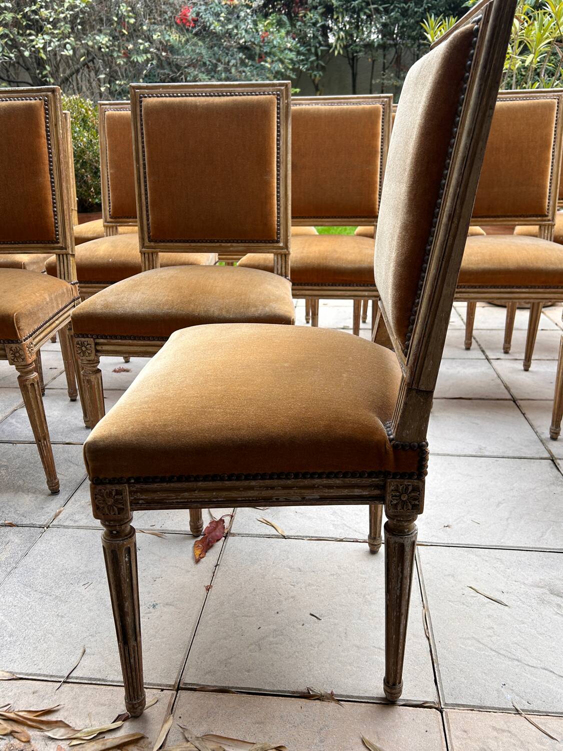 Set of 14 Louis XVI style chairs