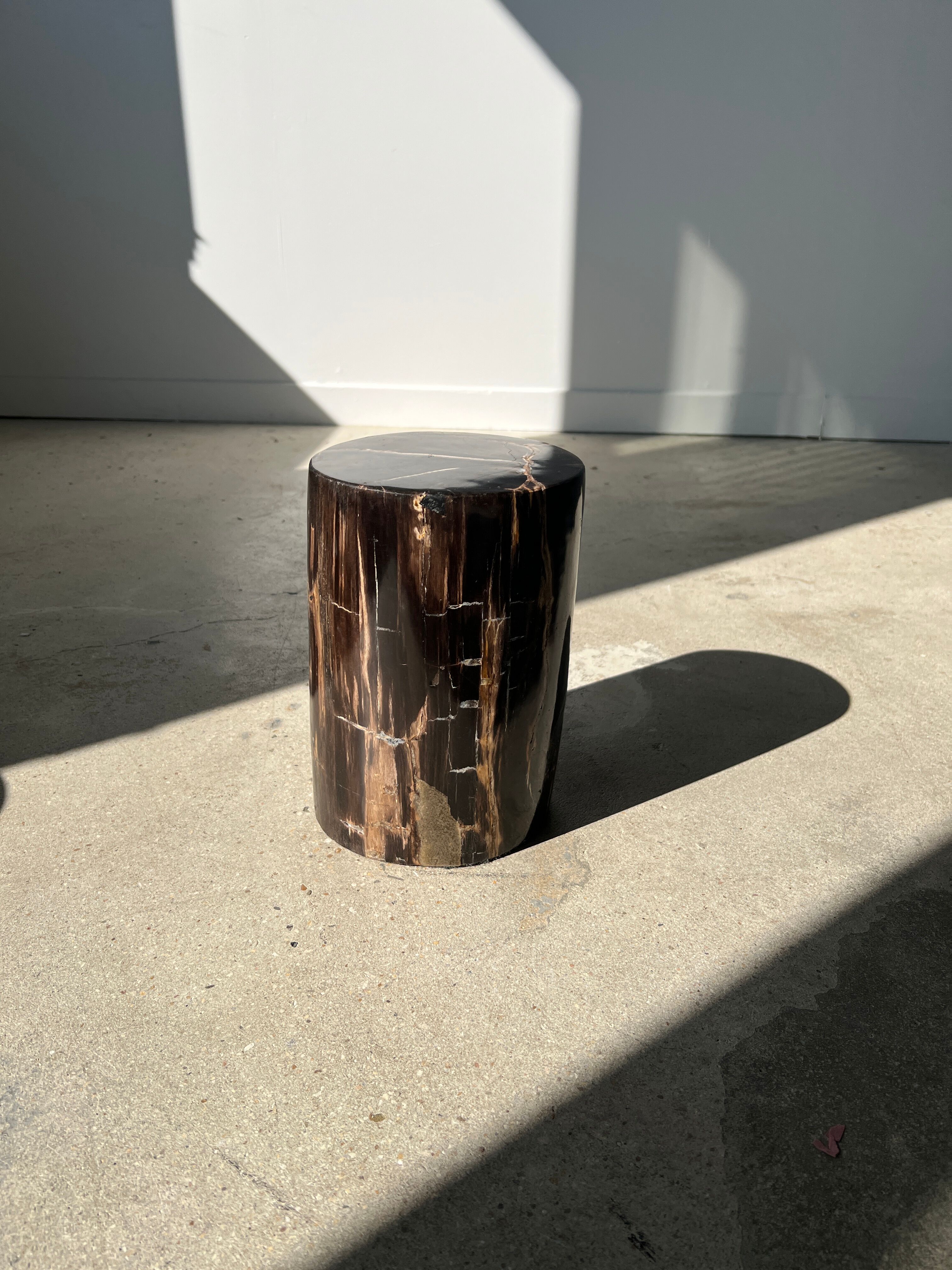 Side table in black petrified wood with light streaks h: 27,5cm d:18,5cm