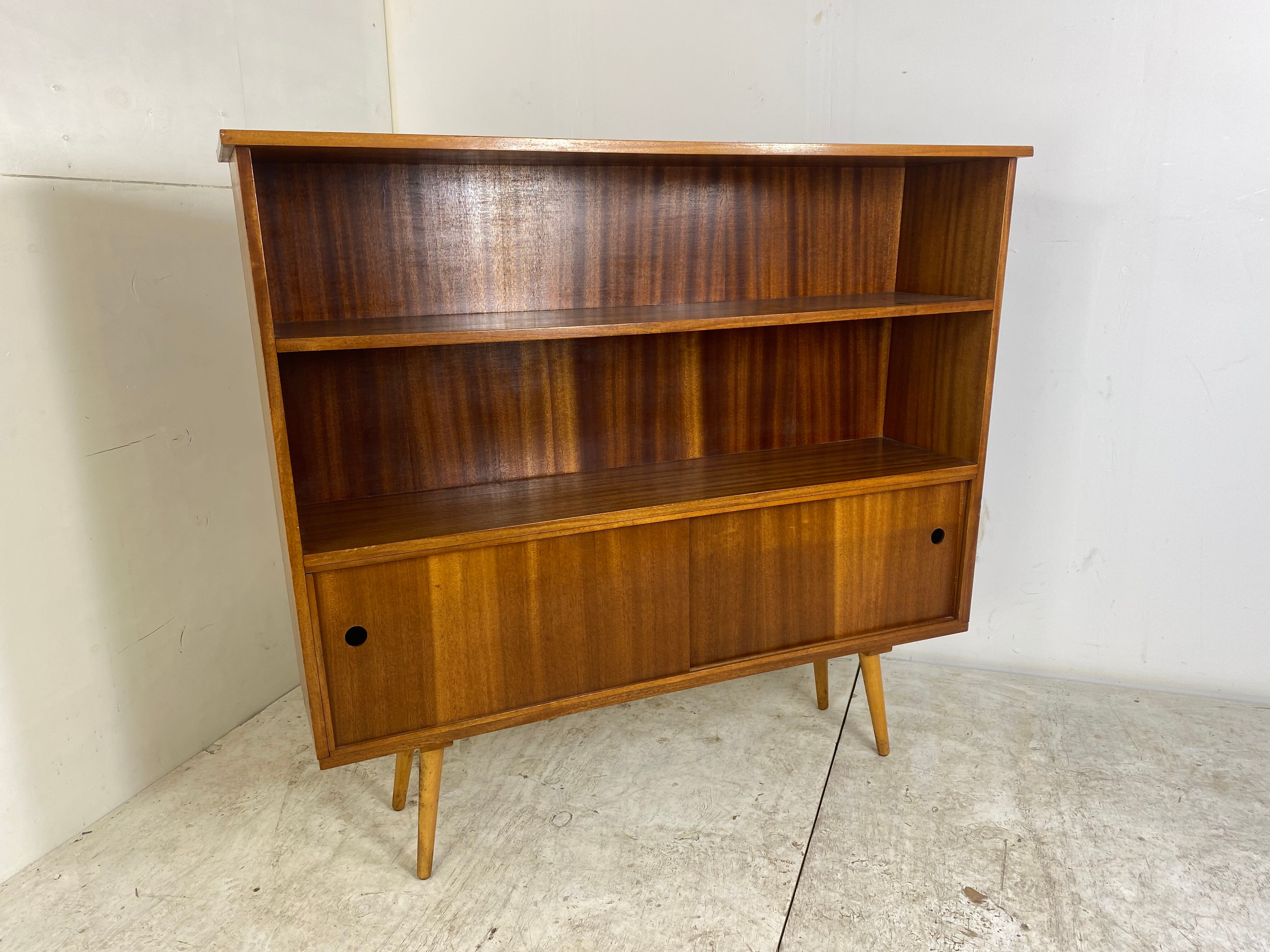 Vintage Mid-Century Teak Book Cabinet, 1950s