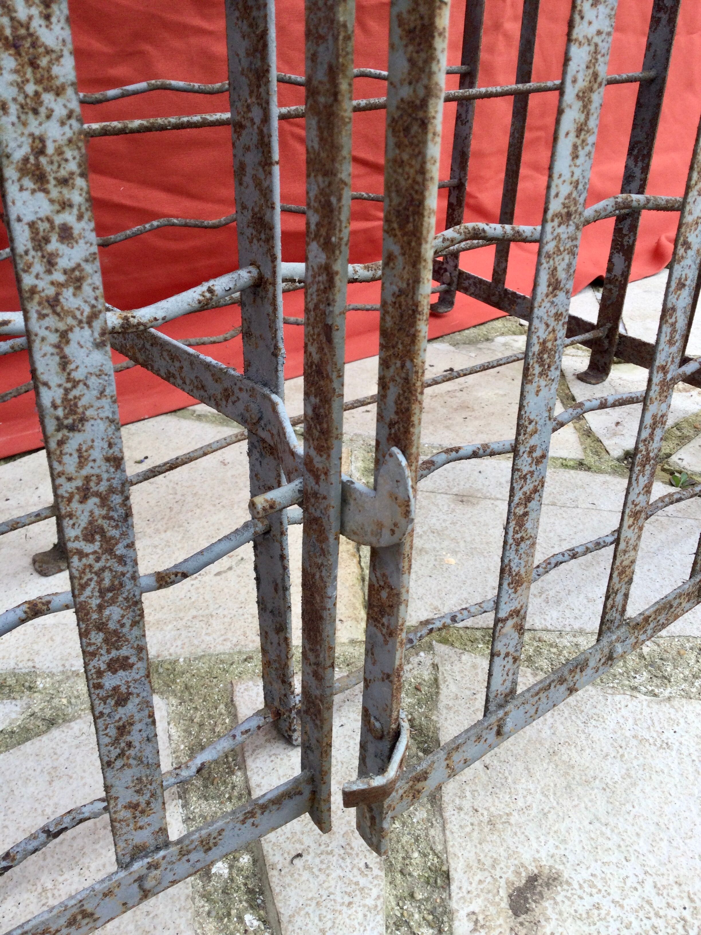 Wine cellar 300 bottles