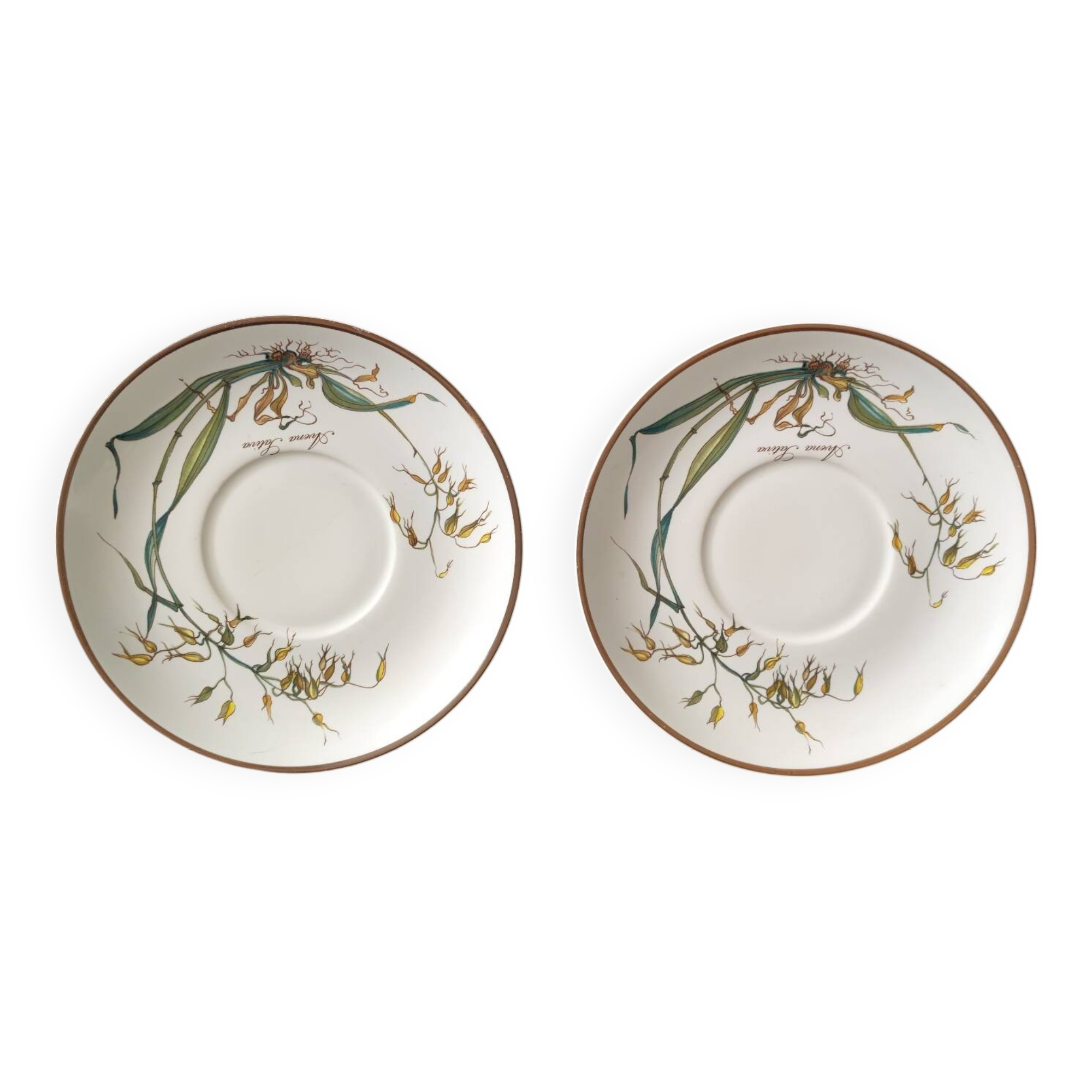 Deux soucoupe Villeroy Boch modèle Botanica