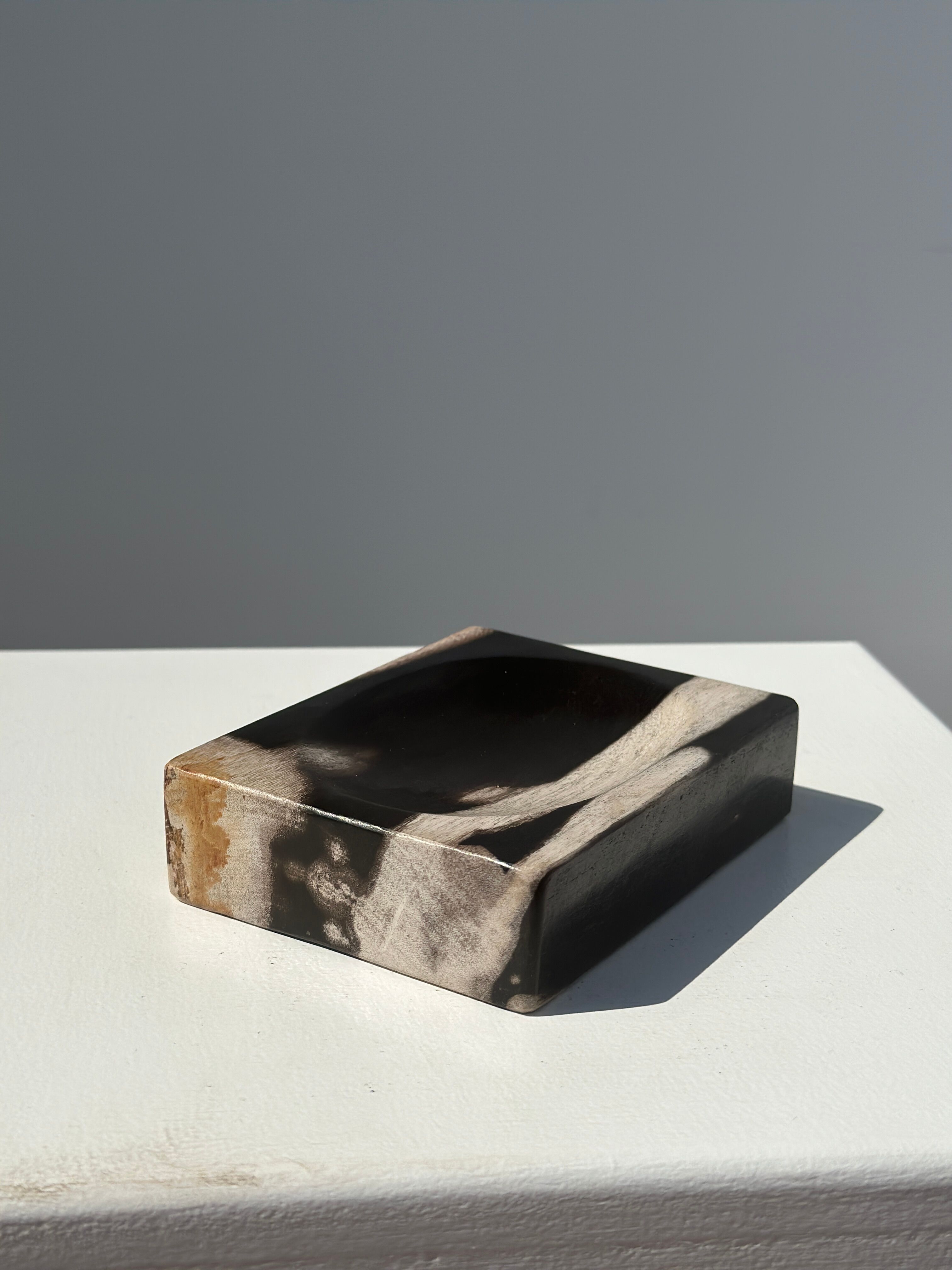 Symmetrical multicolored petrified wood soap dish