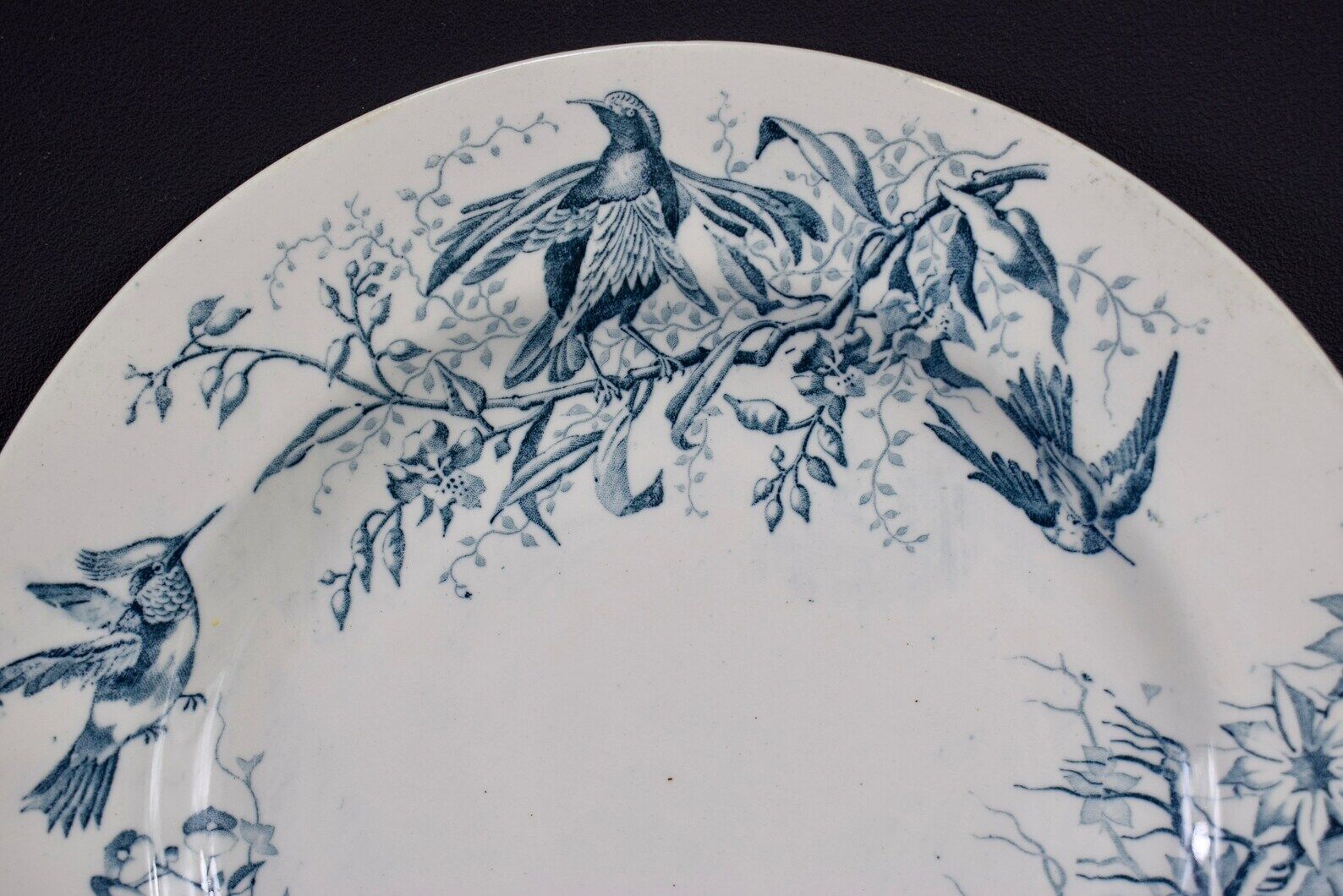 Plate colibri luneville in faience white and blue