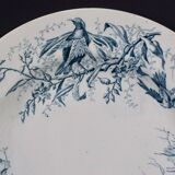 Plate colibri luneville in faience white and blue