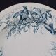 Plate colibri luneville in faience white and blue