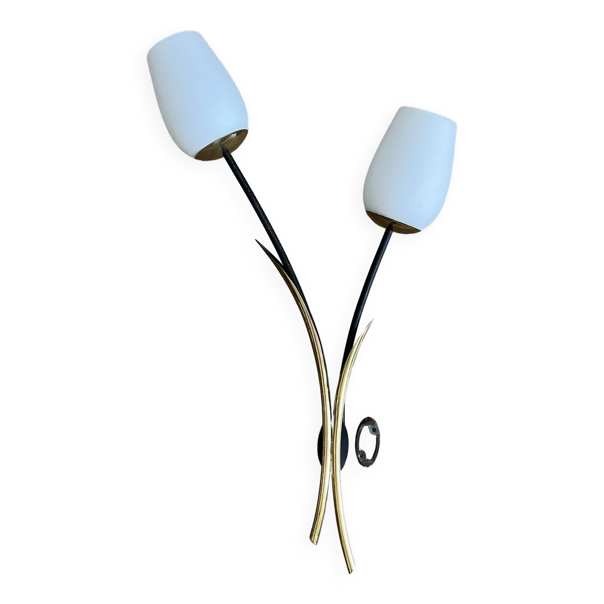 Arlus tulip wall light