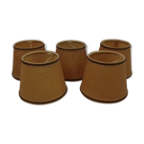 Set of 5 clipping lampshades on bulb