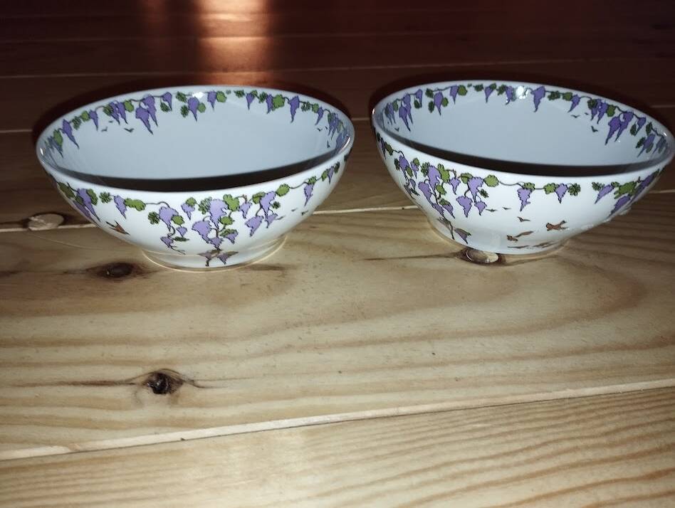 Pair of Villeroy & Boch bowls – Floral decoration – Perfect condition