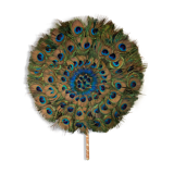 Peacock feathers