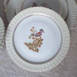 7 bird dessert plates