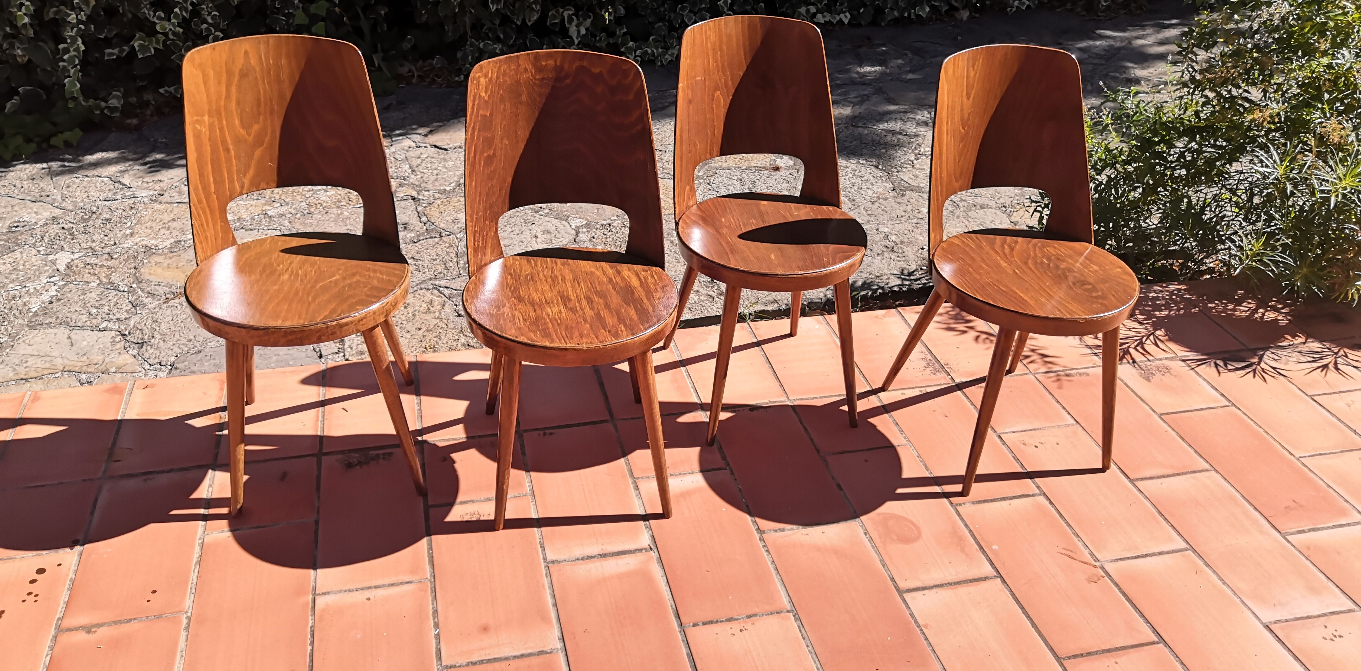 Vintage baumann mondor chairs 60