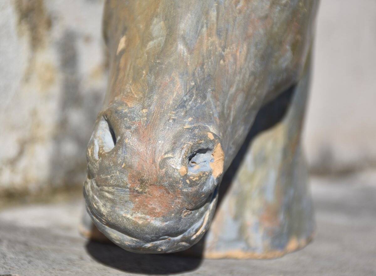 French school, Horse's head (circa 1940)