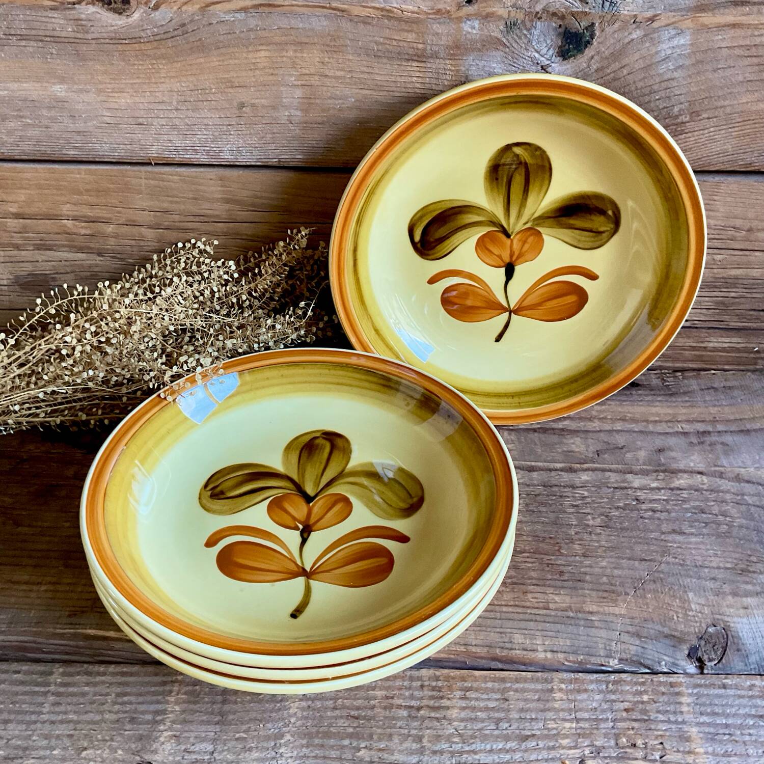 4 deep plates "Fuego" Gien France
