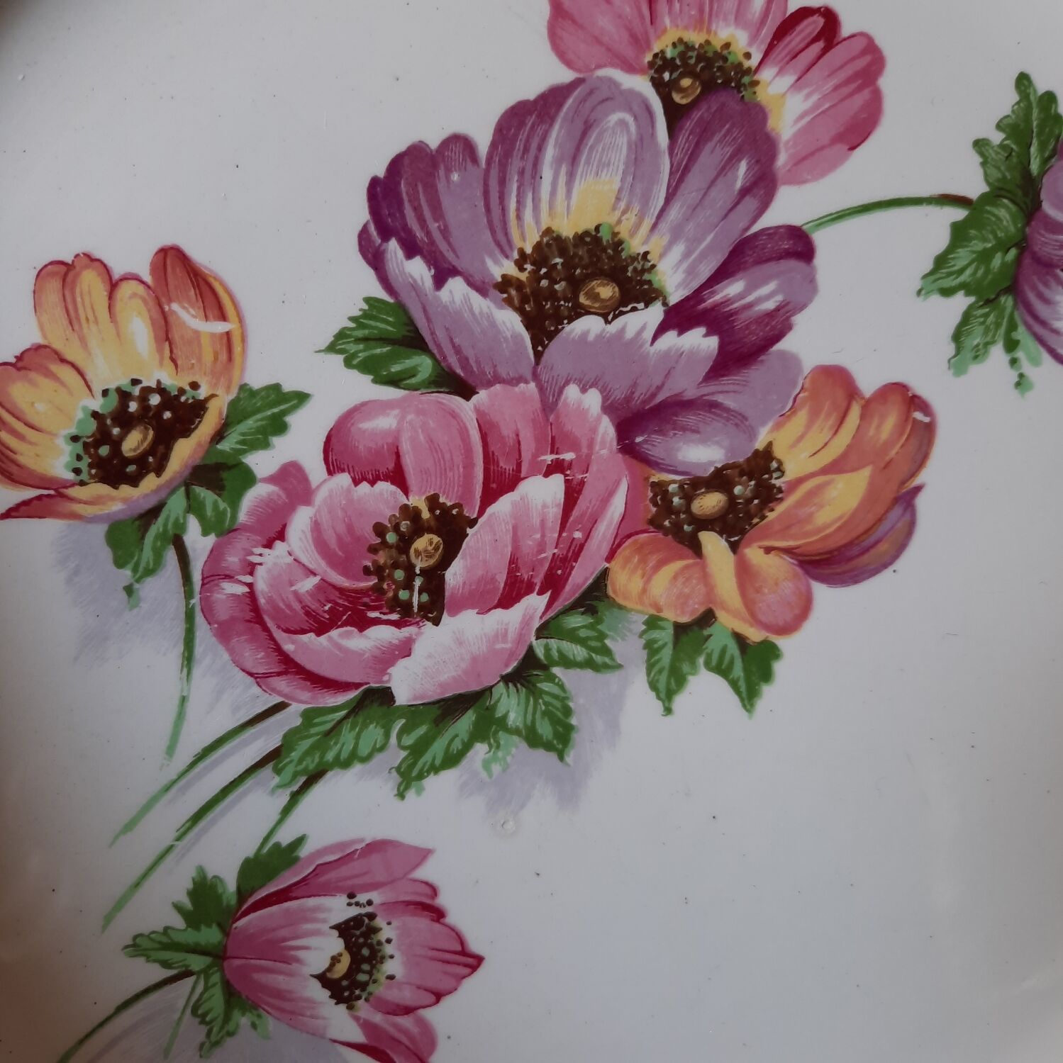 Flat antique earthenware plates with gilded edges