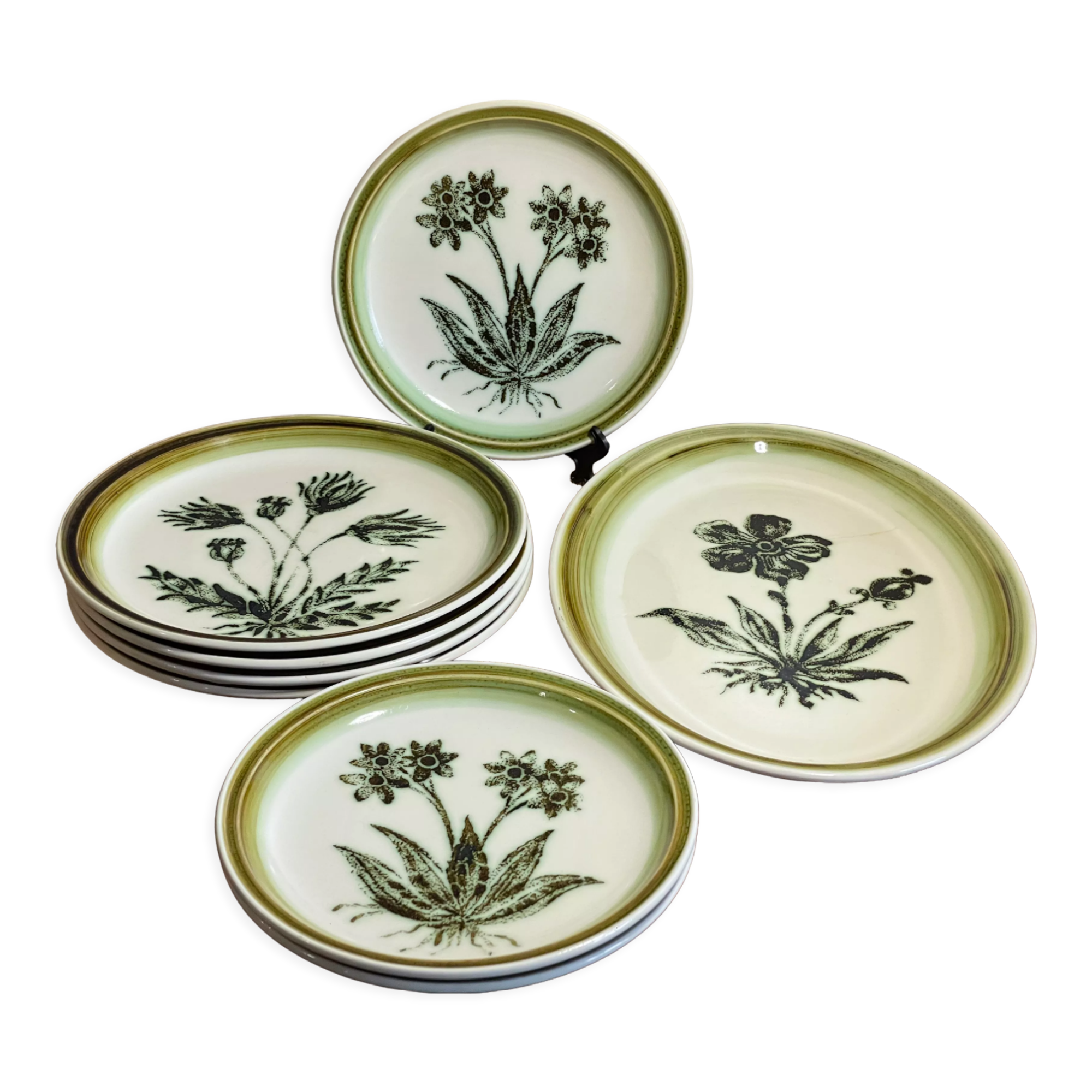 Plates and dish Gien herbarium décor