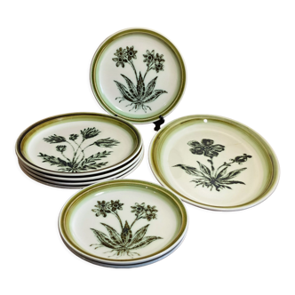 Assiettes et plat Gien décor herbiers