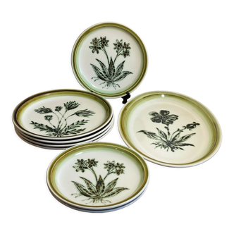 Plates and dish Gien herbarium décor