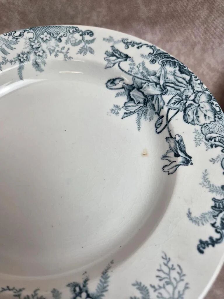 Set of 12 plates Terre de Fer Clairefontaine Cyclamens