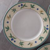 Set of 10 plates