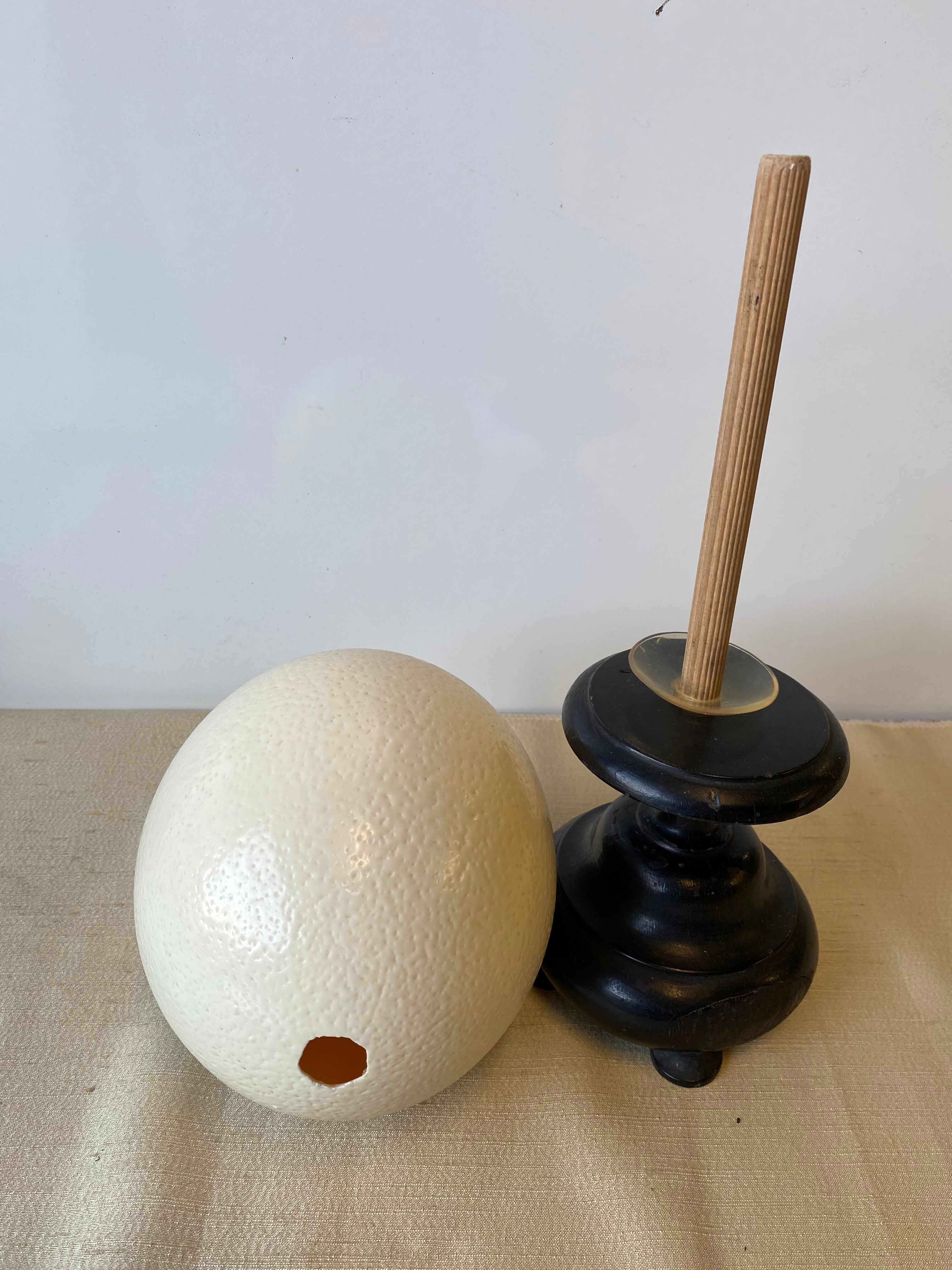 Ostrich egg on blackened wooden base