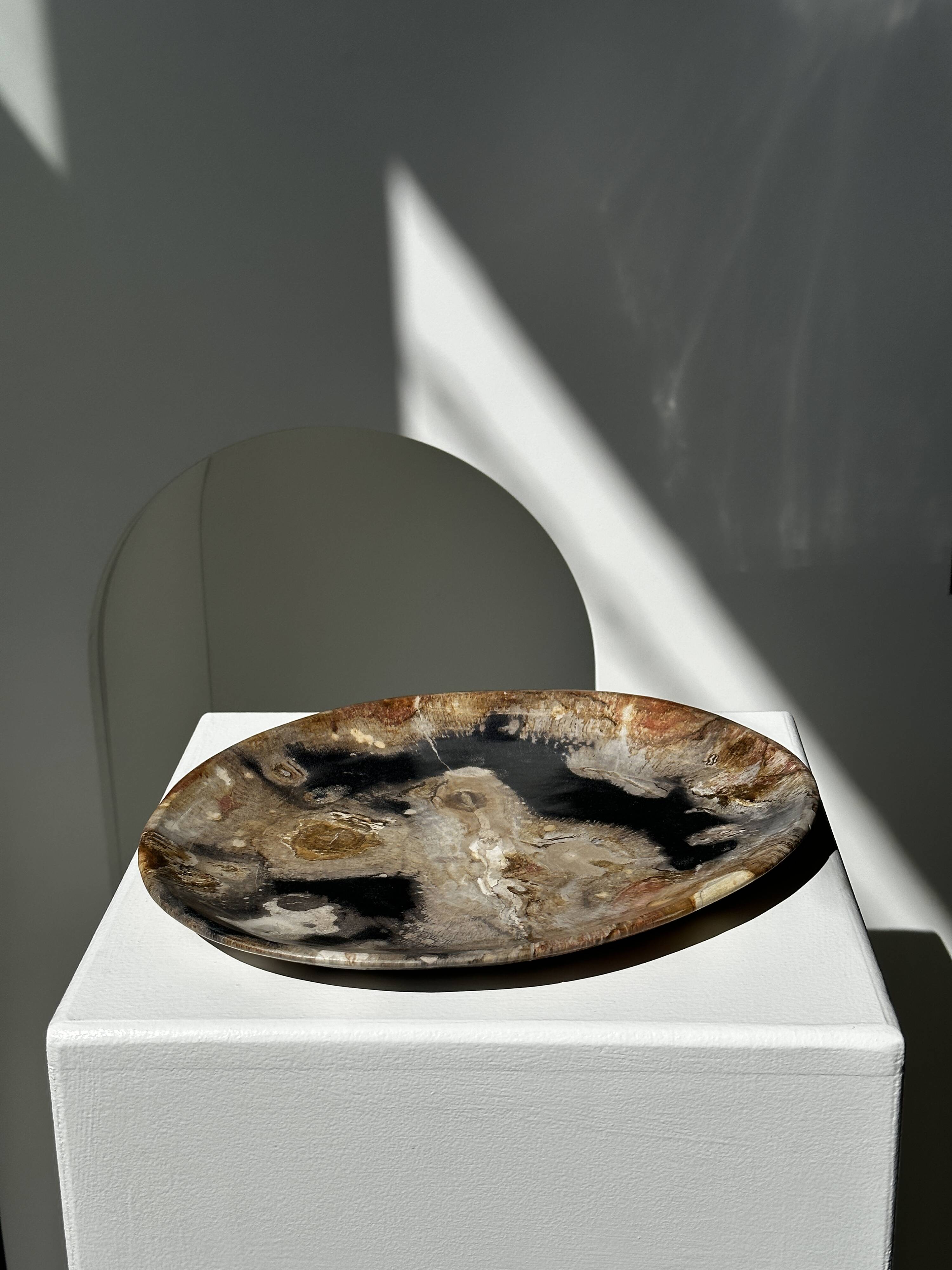 Large empty pocket or dish in petrified wood