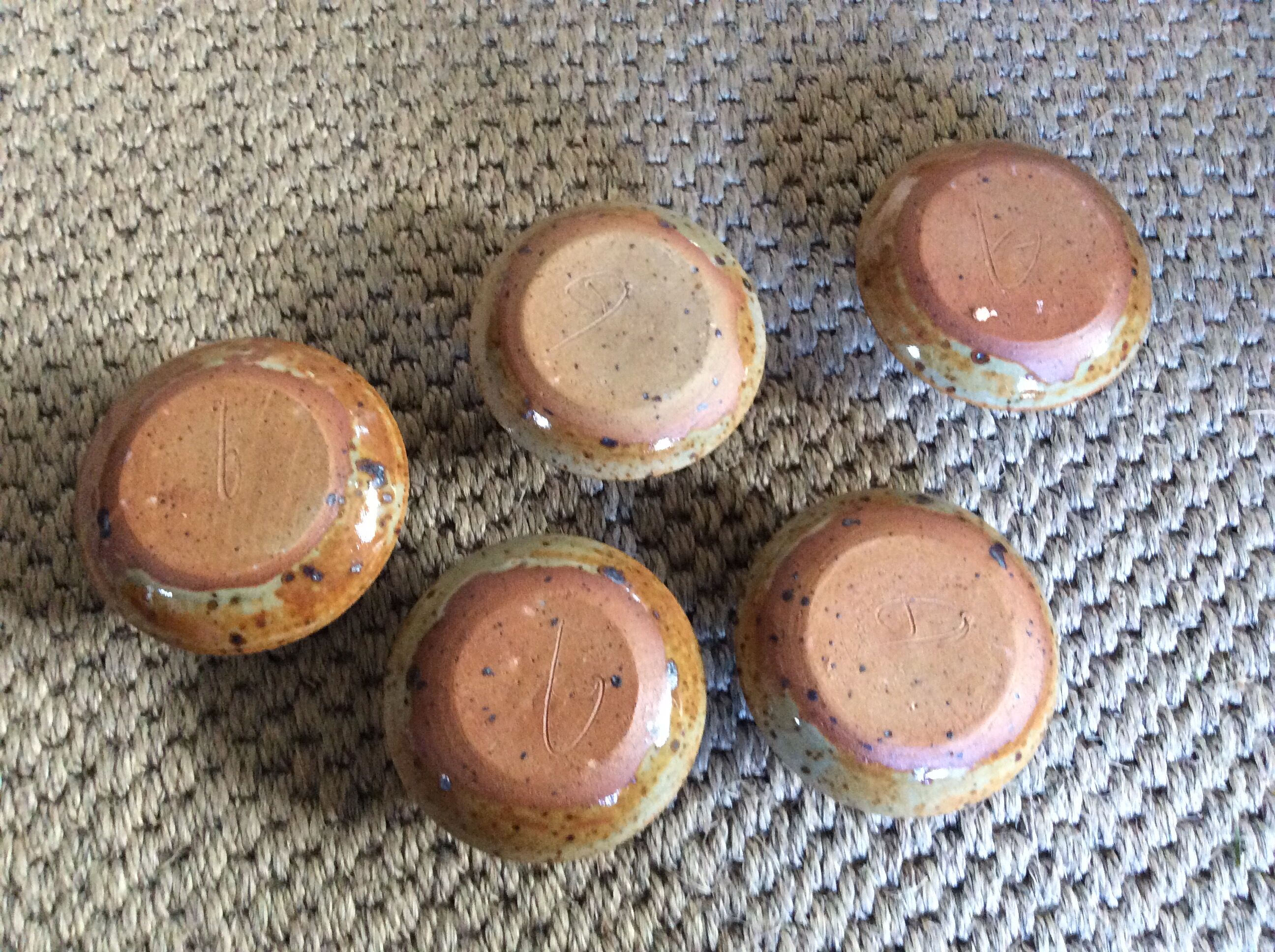 Series of 5 cockroaches