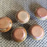 Series of 5 cockroaches