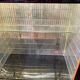 Italian Cocktail Cabinet