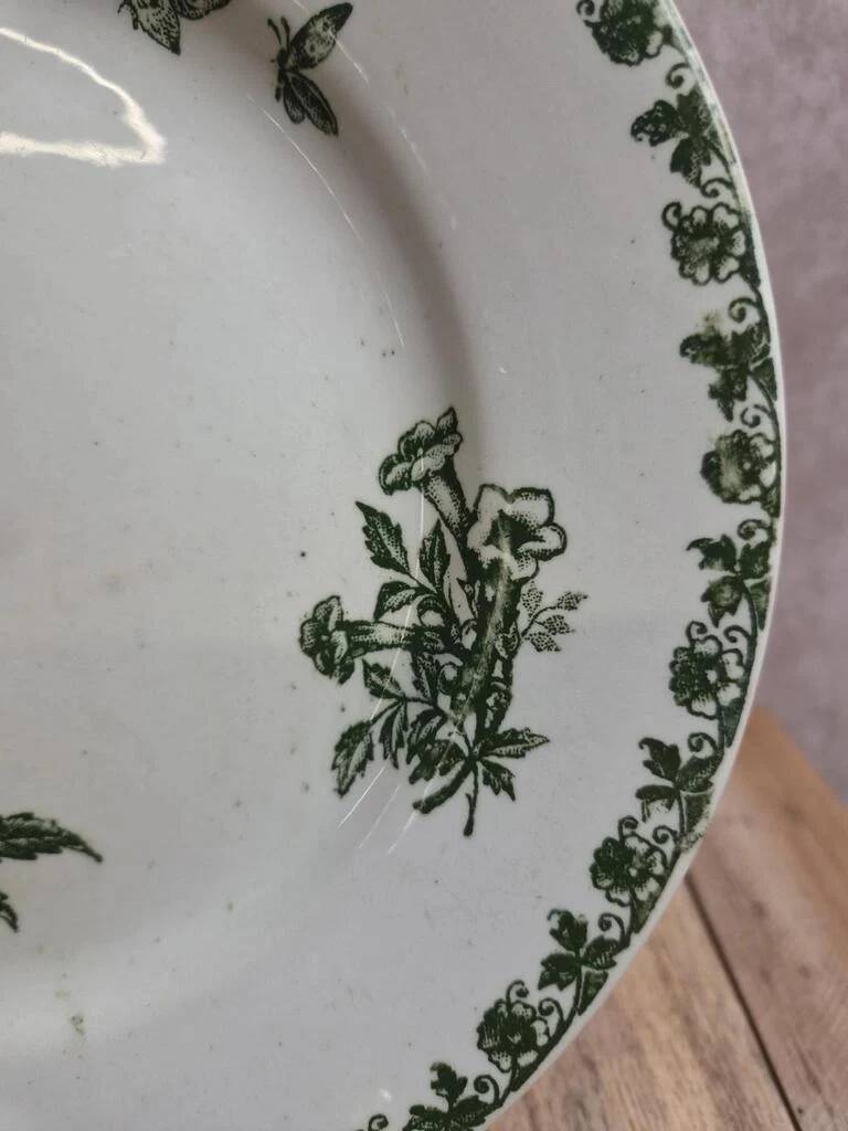 Flat plate ironstone Saint-Amand – Model Denise – Green decoration
